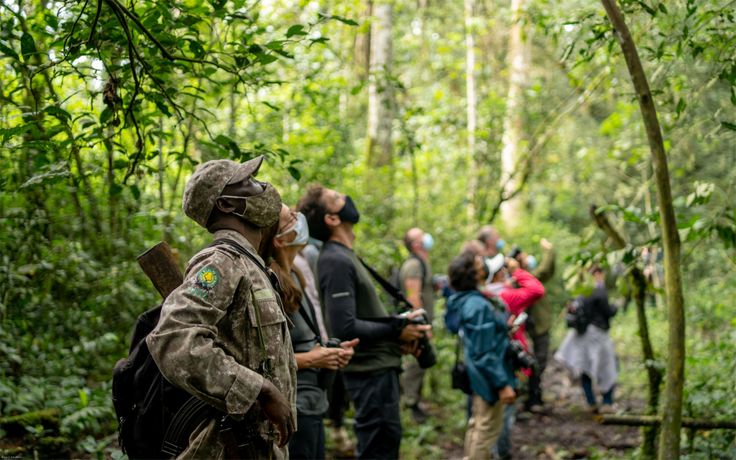 Uganda Highlights Safari