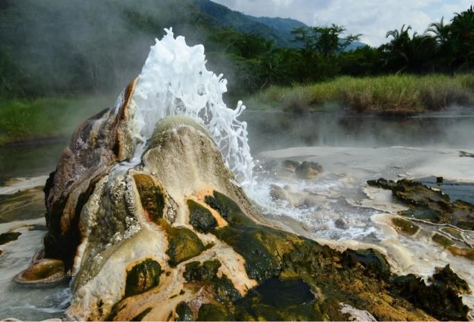 Uganda Nature Discovery