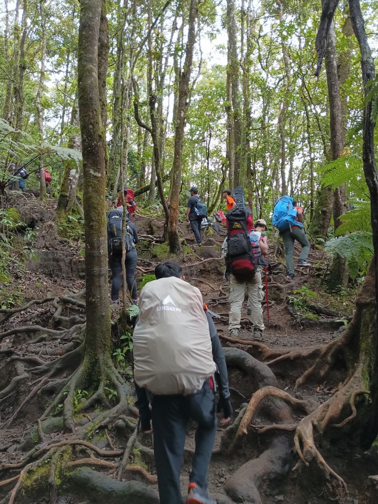 Adventure
